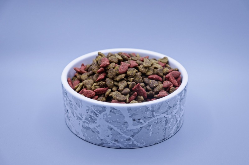can you buy pet food with ebt snap