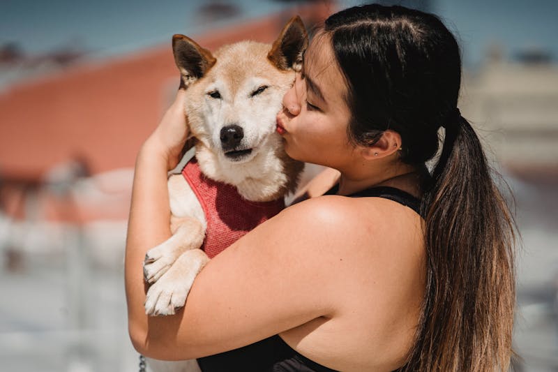 can you buy dog food with ebt snap pet food eligibility