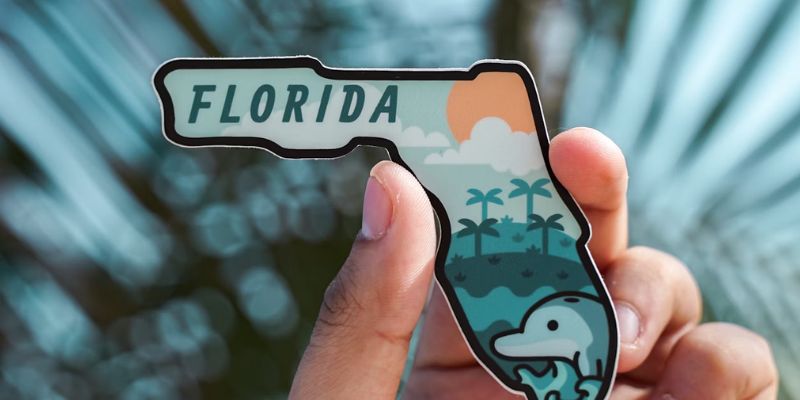 How To Apply For EBT In Florida And Get Free Phone Service