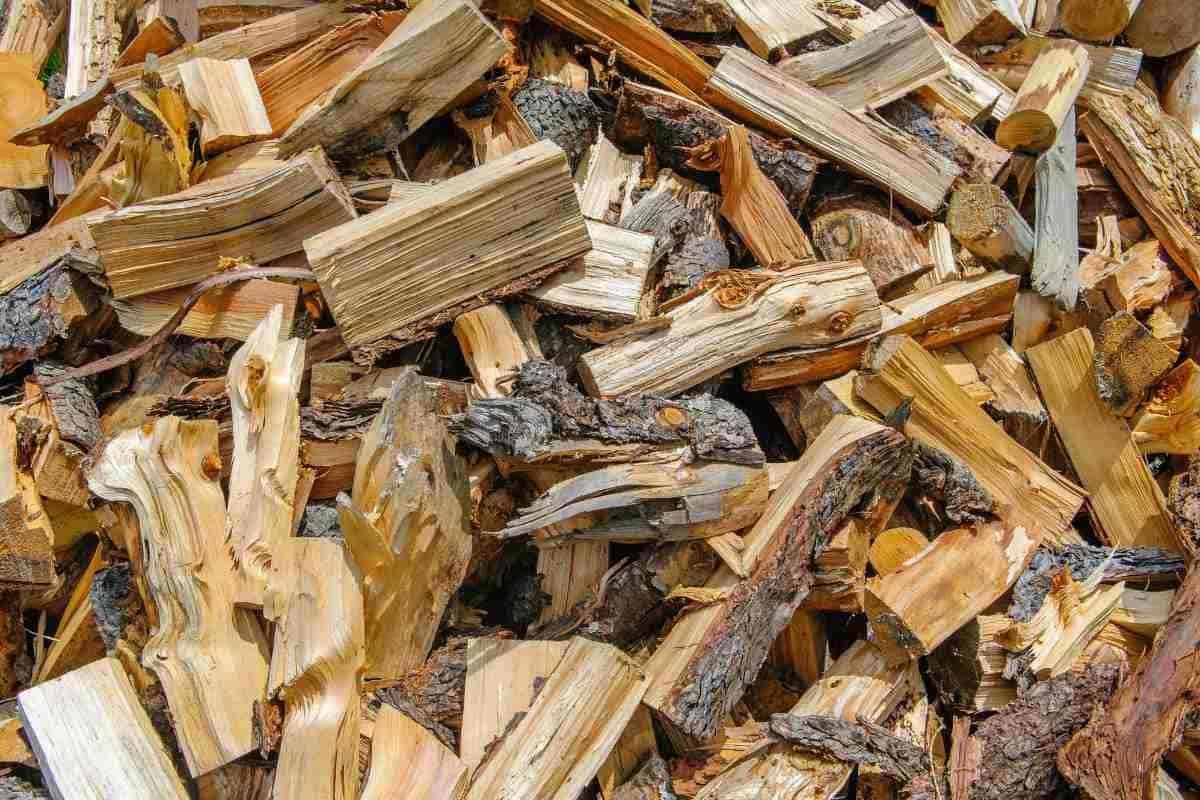 Free Wood Chips Near Me (How to Find & Use Them Smartly)