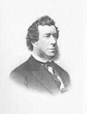 Portrait of Hamilton Fish