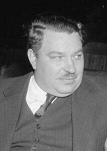 Portrait of Dewey William Johnson