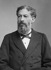 john mercer langston