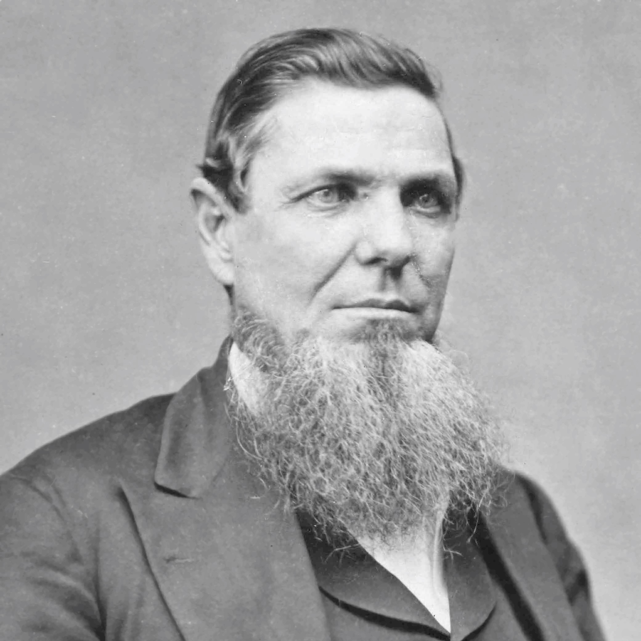 Portrait of Andrew Jackson Hamilton