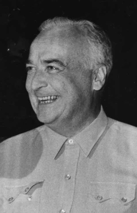 Portrait of John Burroughs