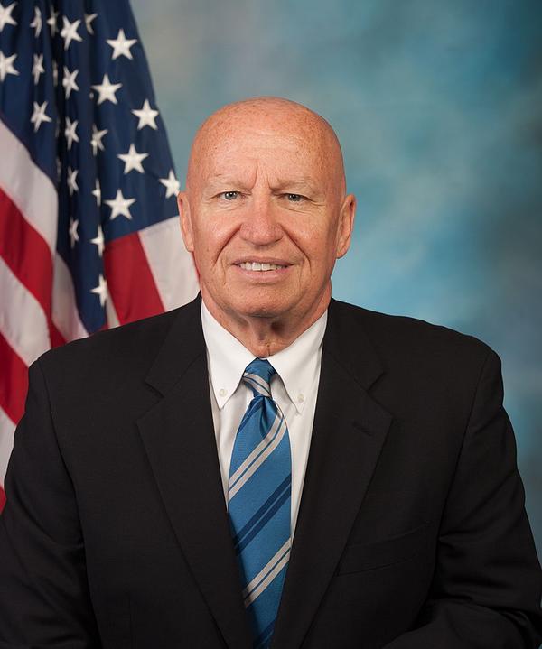 Kevin Brady portrait