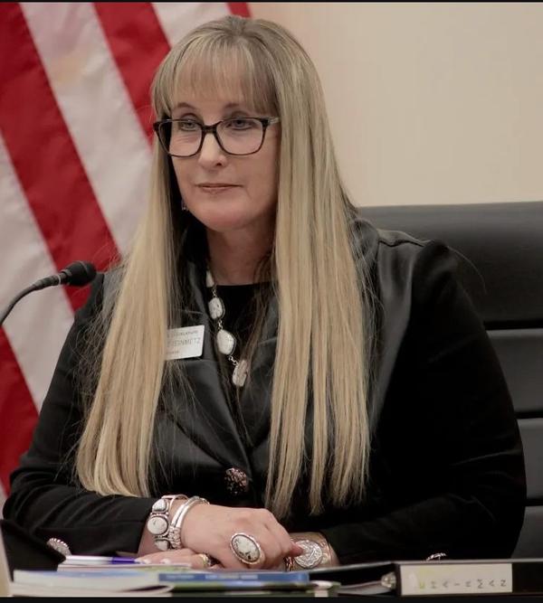 Portrait of Cheri Steinmetz