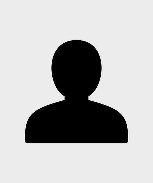 Dan Vollmer portrait