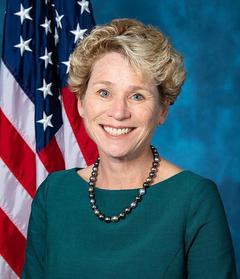 Chrissy Houlahan portrait