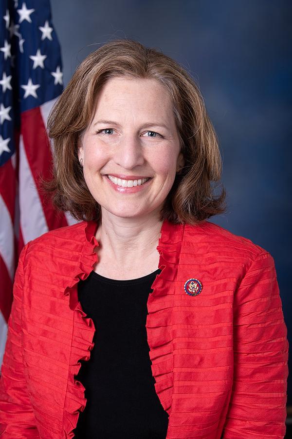 Kim Schrier portrait