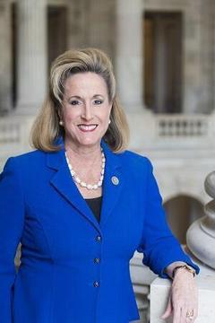 Ann Wagner portrait
